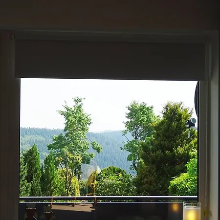 Fewo Lenneblick Apartment Winterberg